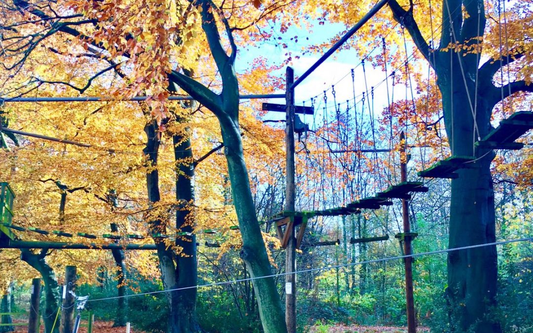 2 for 1 Discount at Trafford Treetop Adventures